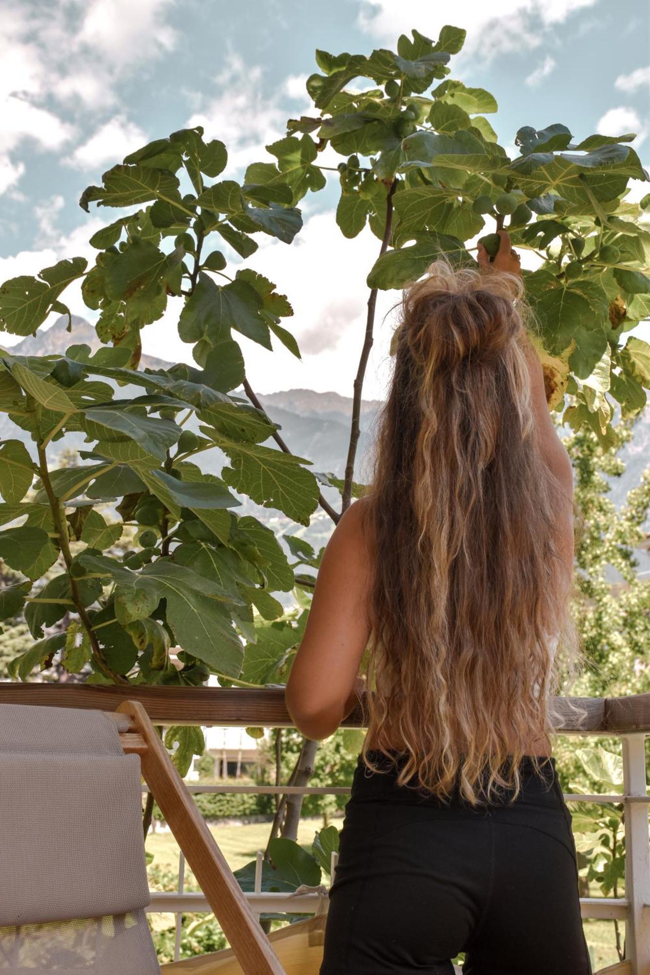 Alpimena Natur-Apartments Meran Dış mekan fotoğraf